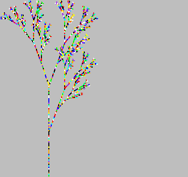 Plant 4 Plant 4