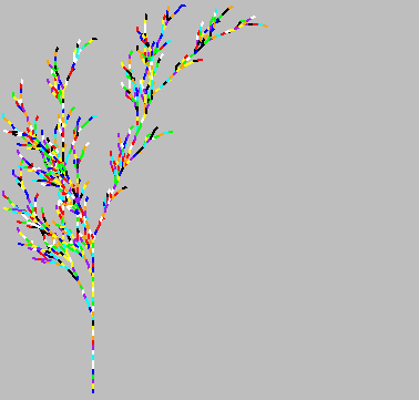 Plant 6 Plant 6